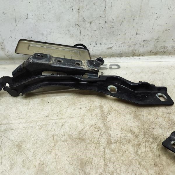 2015-2020 Ford F150 Right & Left Hood Hinge Pair FL34-16800-A OEM - Alshned Auto Parts