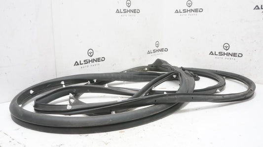 2020 Ford F150 Passenger Right Front Door Glass Weatherstrip FL34-1520530-A OEM - Alshned Auto Parts