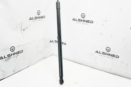 2010 Volkswagen Beetle Front Hood Bonnet Support Strut 1C0422887 - Alshned Auto Parts