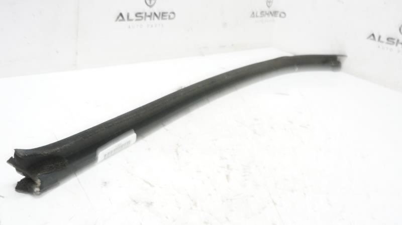 2020 Ford F150 Passenger Right Rear Door Belt Weatherstrip FL34-1521434 OEM - Alshned Auto Parts