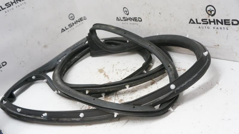 2019 Ford F150 Passenger Right Front Door Glass Weatherstrip FL34-1520530-A OEM - Alshned Auto Parts