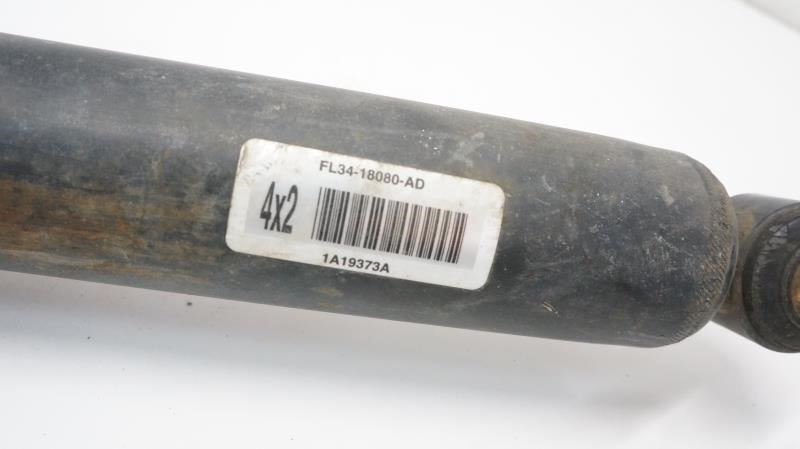 2020 Ford F150 Rear Strut Shock Absorber FL34-18080-AD - Alshned Auto Parts