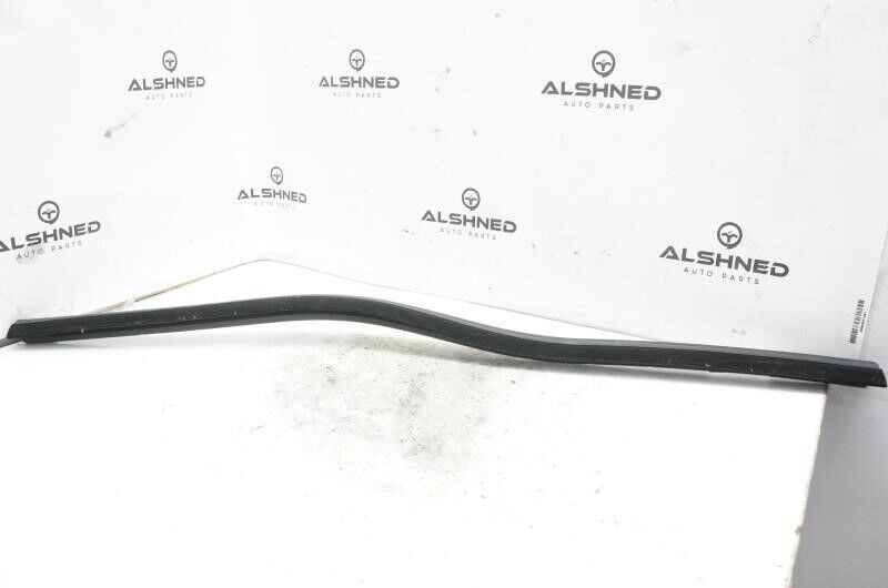 19 Ford F-150 Passenger RH Front Door Inner Belt Weatherstrip FL3Z-1521456-A OEM - Alshned Auto Parts