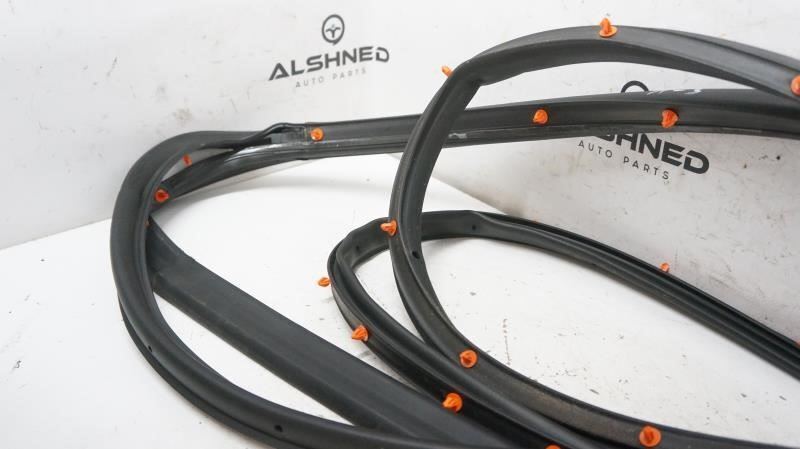 2018 Ford F150 Driver Left Rear Door Weather Strip Seal FL34-1625325-A OEM - Alshned Auto Parts