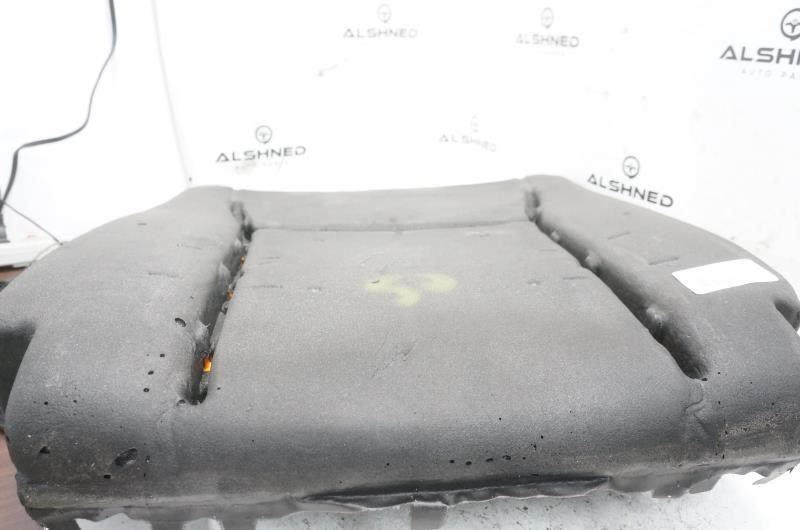 2019 Ford F150 Rear Right Seat Back Pad FL3Z-1666800-B OEM - Alshned Auto Parts