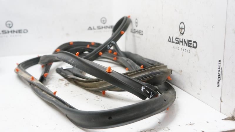 2019 Ford F150 Driver Left Rear Door Weatherstrip Seal FL34-1625325-A OEM - Alshned Auto Parts