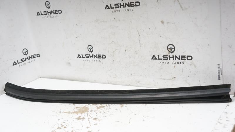 2019 Ford F150 Passenger Right Rear Door Belt Weatherstrip FL34-1521434 OEM - Alshned Auto Parts