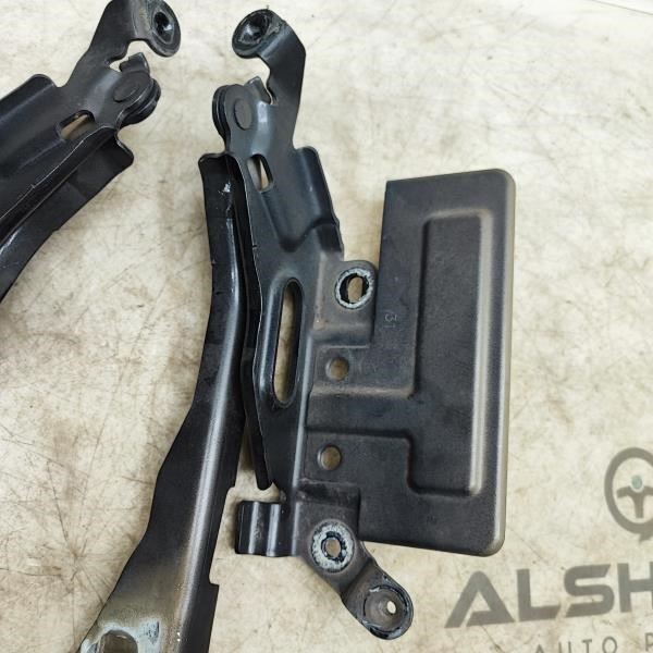 2015-2020 Ford F150 Right & Left Hood Hinge Pair FL34-16800-A OEM - Alshned Auto Parts