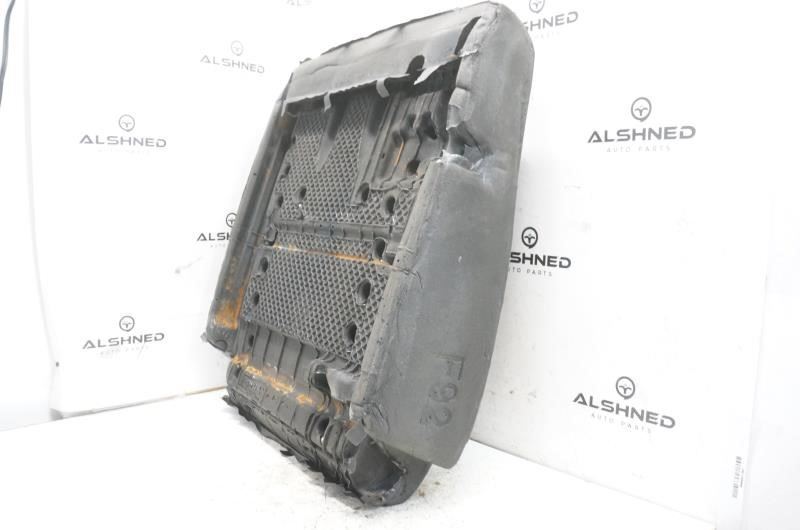 2019 Ford F150 Rear Right Seat Back Pad FL3Z-1666800-B OEM - Alshned Auto Parts