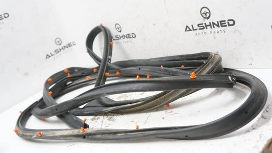 2019 Ford F150 Driver Left Rear Door Weatherstrip Seal FL34-1625325-A OEM - Alshned Auto Parts