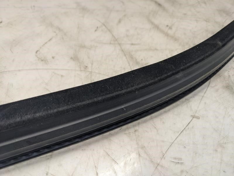 2015-2020 Ford F150 FR RH Door Window Belt Weatherstrip FL3Z-1521456-B OEM - Alshned Auto Parts