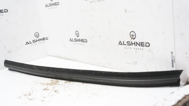 2019 Ford F150 Driver Left Rear Door Belt Weatherstrip FL34-1625767 OEM - Alshned Auto Parts