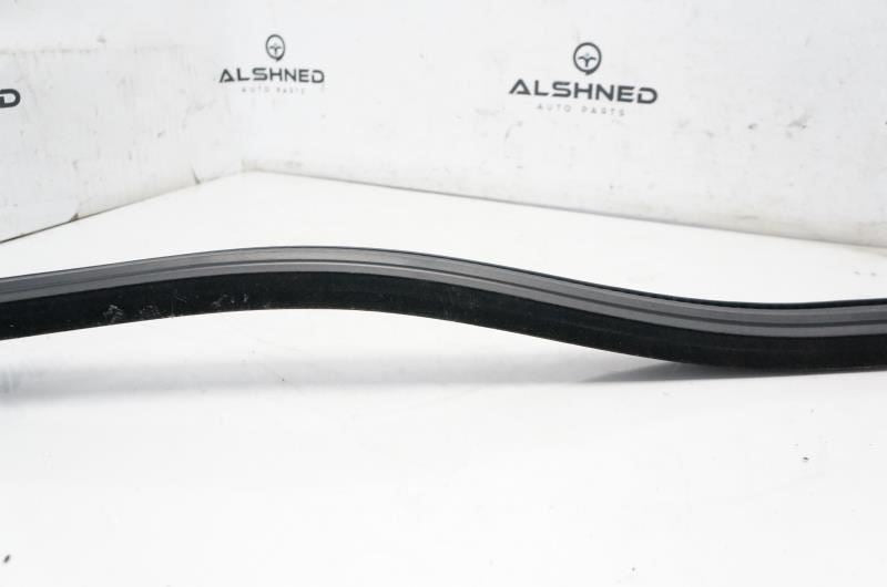 15-20 Ford F150 Passenger RH Front Door Inner Belt Weatherstrip FL3Z-1521456-B - Alshned Auto Parts