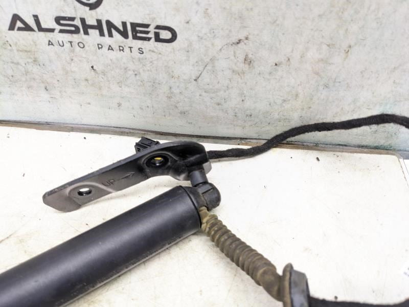 2019 Audi S5 Rear Left Liftgate Lid Power Shock Strut 8W8-827-851-E OEM - Alshned Auto Parts