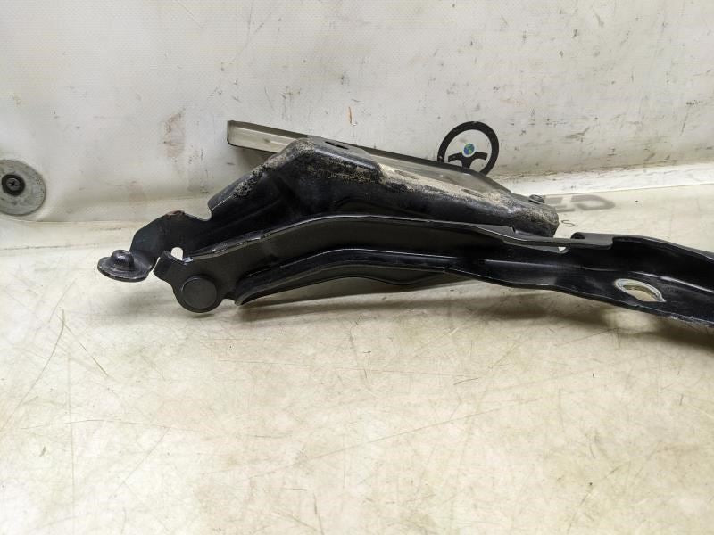 2015-2020 Ford F150 Left & Right Hood Hinge Pair FL34-16800-A OEM - Alshned Auto Parts
