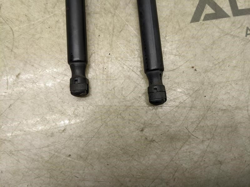 2015-2020 Ford F150 Left & Right Hood Strut Pair FL34-16C826-AB OEM - Alshned Auto Parts