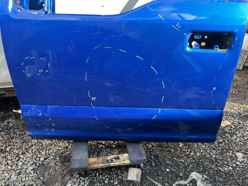 2016 Ford F150 Front Left Driver Side Door Shell Panel FL3Z-1620125-B OEM *ReaD* - Alshned Auto Parts