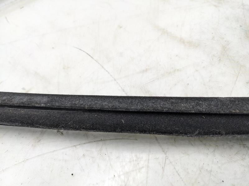 2019-2023 Ram 1500 Front Right Door Window Belt Weatherstrip 68359296AB OEM - Alshned Auto Parts