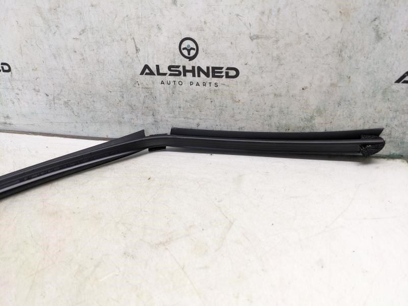 2017-20 Hyundai Elantra Rear Right Door Inner Belt Weatherstrip 83241-F2000 OEM - Alshned Auto Parts