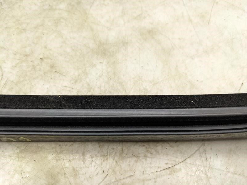 2015-2020 Ford F150 Rear Left Door Window Belt Weatherstrip FL34-1625861 OEM