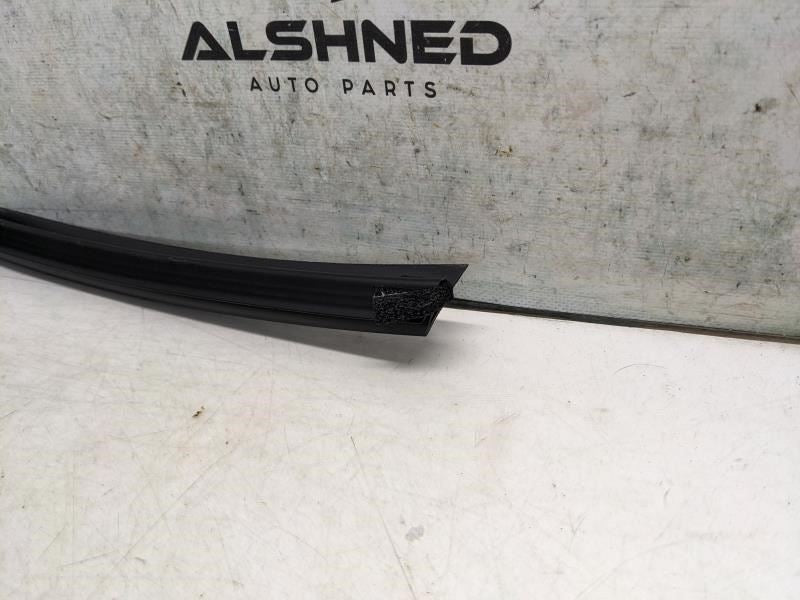 2017-20 Hyundai Elantra Rear Right Door Inner Belt Weatherstrip 83241-F2000 OEM - Alshned Auto Parts