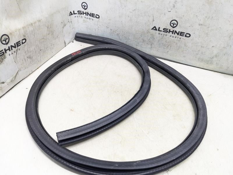 2015-23 Ford Mustang Coupe FR RH Door Lower Weatherstrip On Body FR3Z-6320708-A - Alshned Auto Parts