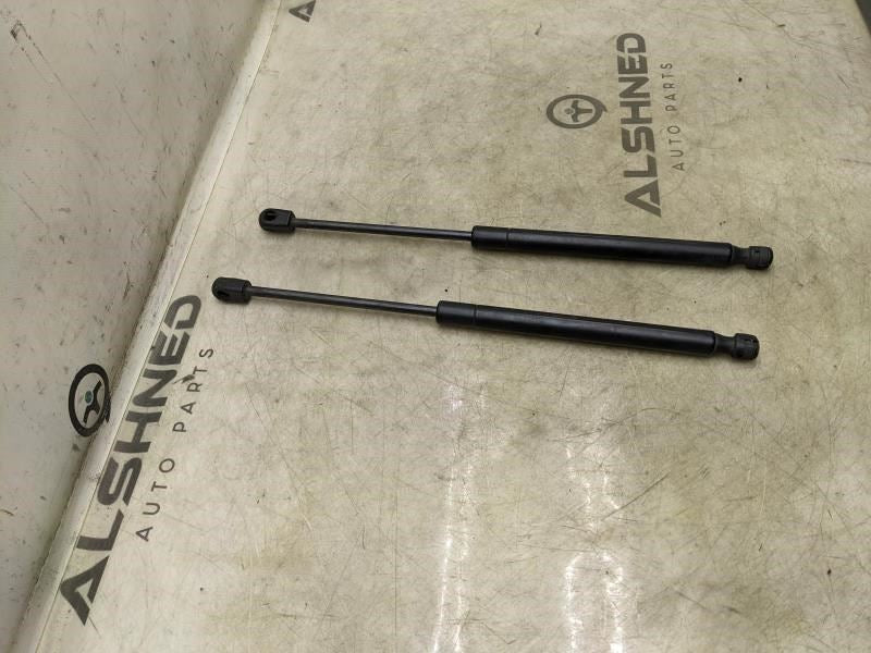 2015-2020 Ford F150 Left & Right Hood Strut Pair FL34-16C826-AB OEM - Alshned Auto Parts
