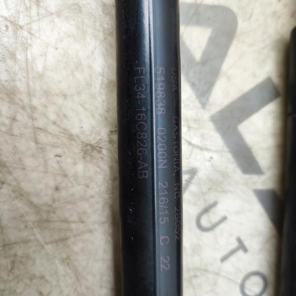 2015-2020 Ford F150 Left & Right Hood Lift Support Strut F150 FL34-16C827-AB OEM - Alshned Auto Parts