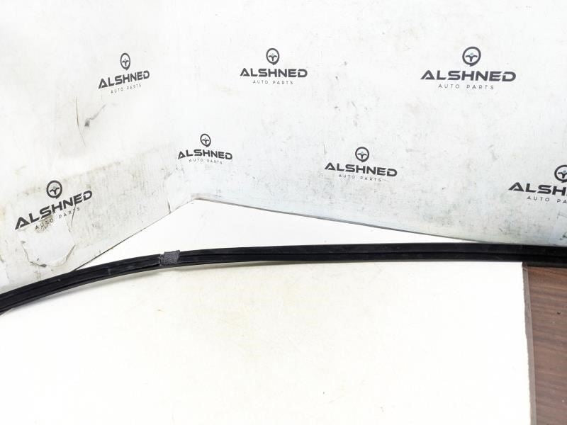 2017-2020 Hyundai Elantra Rear Left Door Inner Belt Weatherstrip 83231-F2000 OEM - Alshned Auto Parts