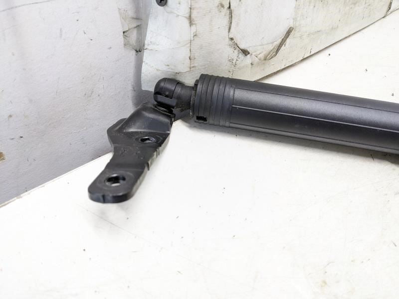 2019 Audi S5 Rear Left Liftgate Lid Power Shock Strut 8W8-827-851-E OEM - Alshned Auto Parts