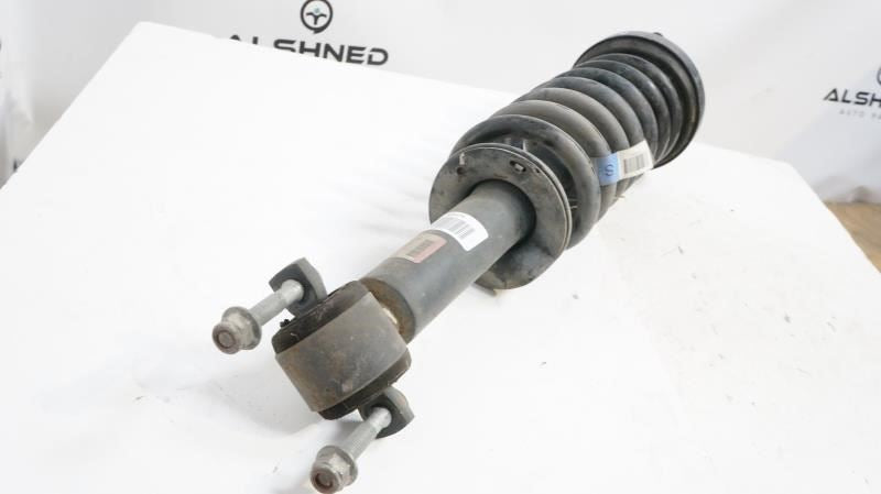 2015-2018 Ford F150 Front Strut Shock Absorber LH RH GL34-18045-GA OEM - Alshned Auto Parts