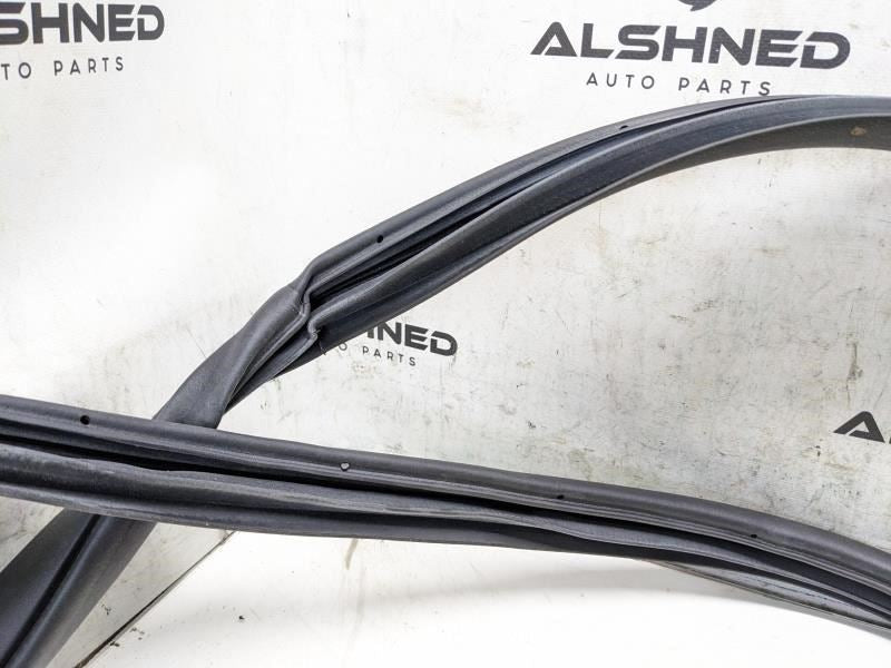 2017-2020 Hyundai Elantra Rear Right Door Weatherstrip On Body 83120-F30004X OEM - Alshned Auto Parts