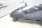 2013 GMC Acadia Speedometer Instrument Cluster Mile Unknown 2483926 OEM - Alshned Auto Parts
