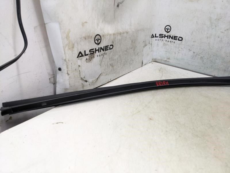 2017-20 Hyundai Elantra Rear Right Door Inner Belt Weatherstrip 83241-F2000 OEM - Alshned Auto Parts