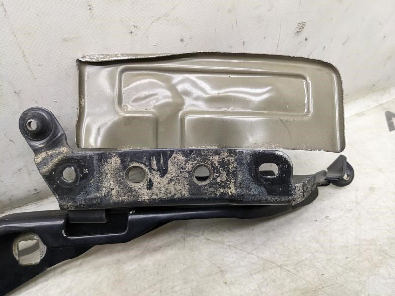 2015-2020 Ford F150 Left & Right Hood Hinge Pair FL34-16800-A OEM - Alshned Auto Parts