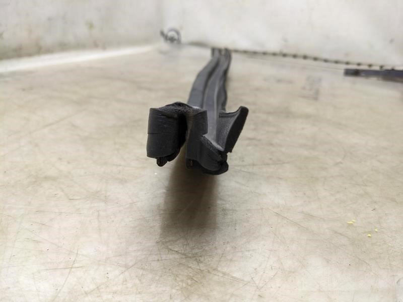 2015-2020 Ford F150 Rear Right Door Inner Belt Weatherstrip FL3Z-1625860-B OEM - Alshned Auto Parts