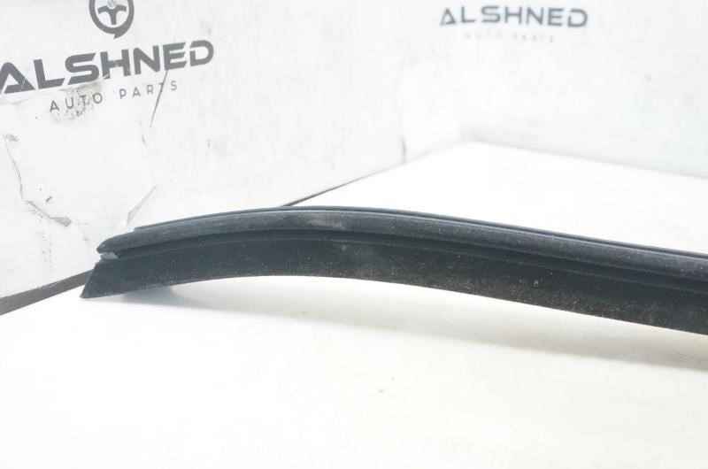 2015-2020 Ford F150 Rear Left Door Window Belt Weatherstrip FL3Z-1625861-B OEM - Alshned Auto Parts