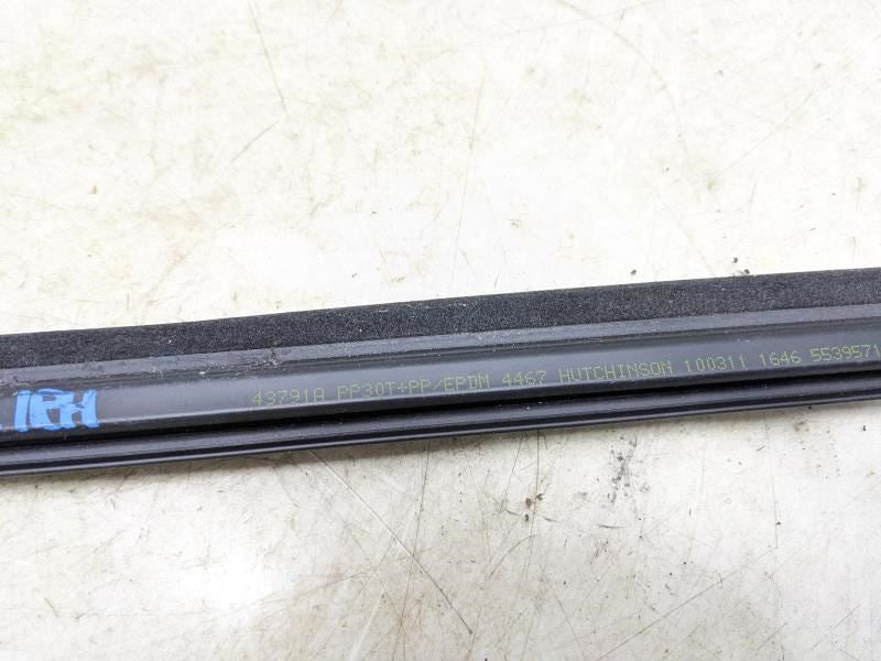 2007-2018 Jeep Wrangler Front Right Door Belt Inner Weatherstrip 55395715AB OEM - Alshned Auto Parts