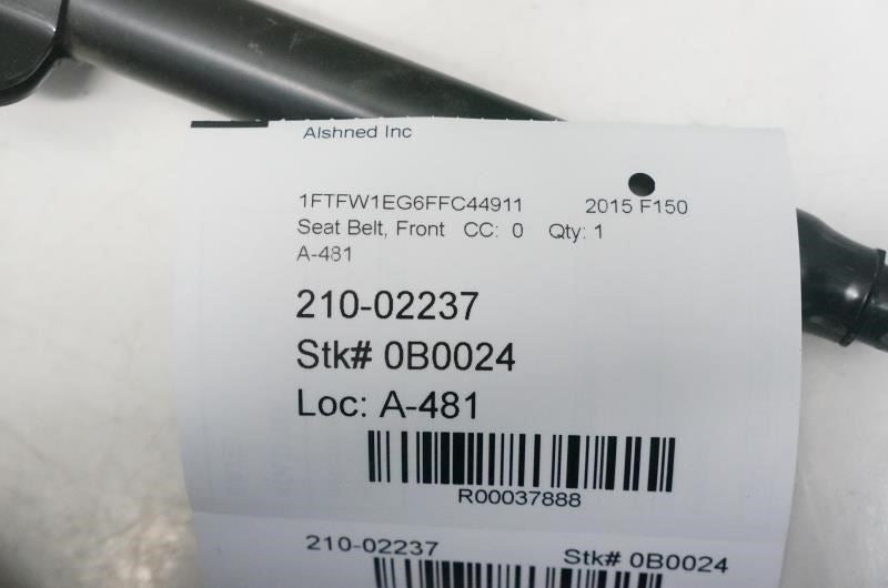 2015-2016 Ford F150 Front Right Seat Belt FL3B16612D64-A OEM - Alshned Auto Parts
