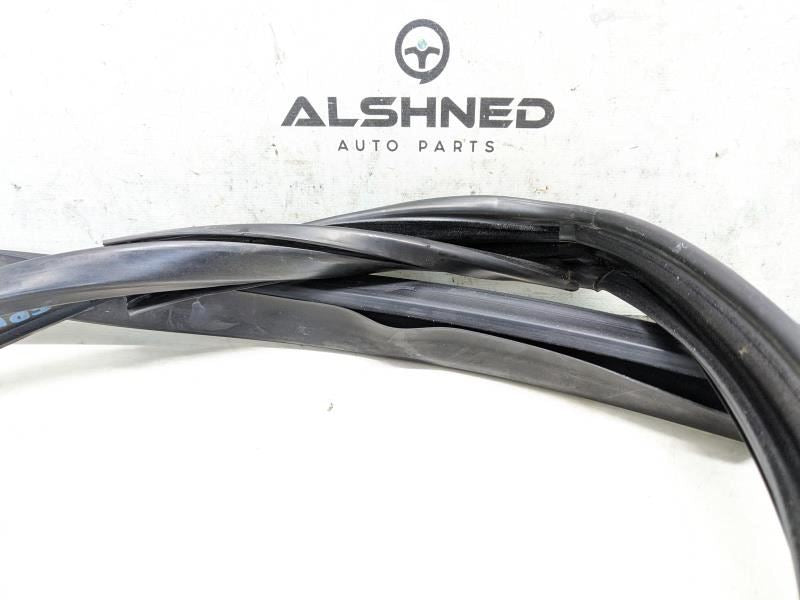 2013-2018 Ram 1500 Front Right Door Window Glass Run Channel 55112366AI OEM - Alshned Auto Parts