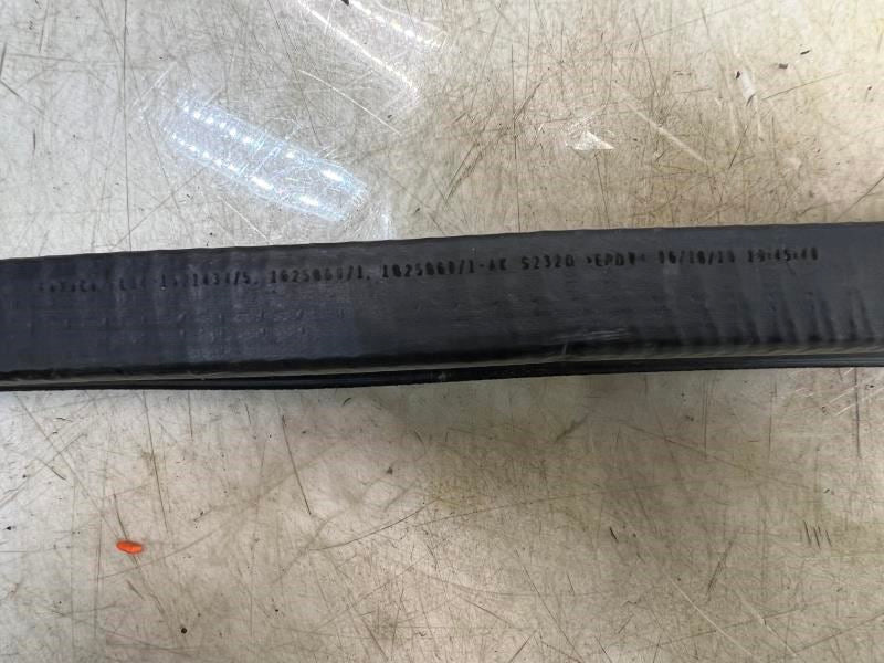 2015-2020 Ford F150 Rear Left Door Window Belt Weatherstrip FL3Z-1625861-A OEM - Alshned Auto Parts