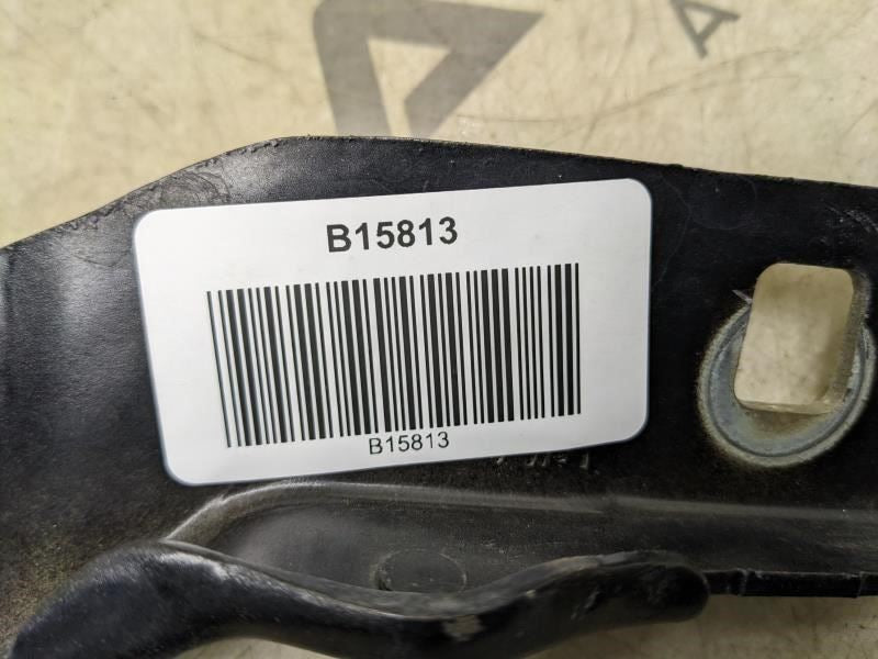2015-2020 Ford F150 Left & Right Hood Hinge Pair FL34-16800-A OEM - Alshned Auto Parts