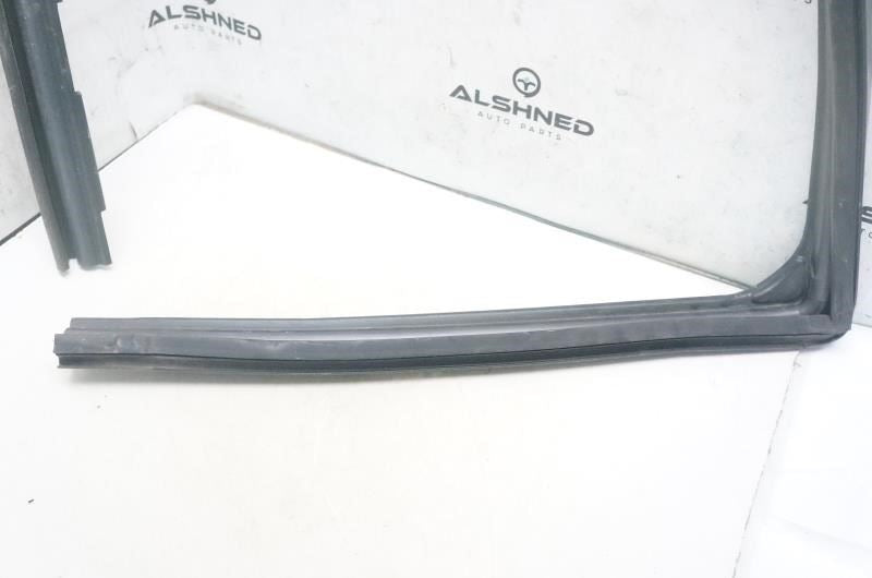 2015-2020 Ford F150 Front Left Door Window Glass Run Channel FL3Z-1521597-B OEM - Alshned Auto Parts