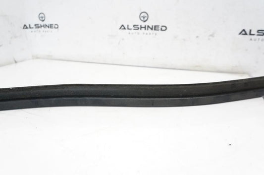 15-20 Ford F150 Passenger RH Front Door Inner Belt Weatherstrip FL3Z-1521456-B - Alshned Auto Parts