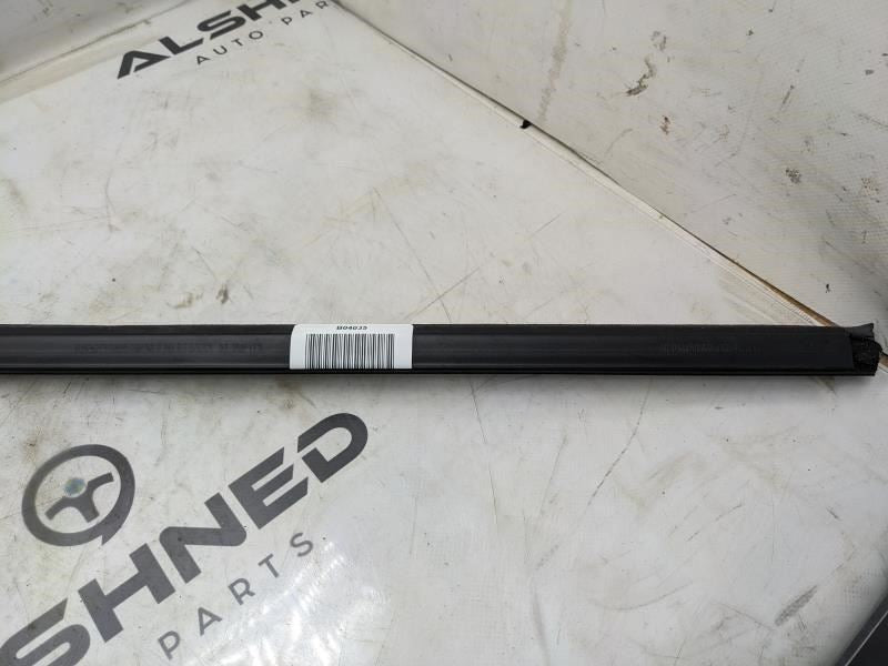 2019-2023 Ram 1500 Rear Left Door Window Belt Weatherstrip 68285720AB OEM - Alshned Auto Parts