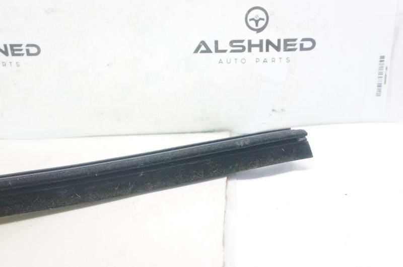 2015-2020 Ford F150 Rear Left Door Window Belt Weatherstrip FL3Z-1625861-B OEM - Alshned Auto Parts