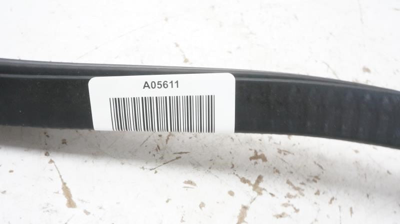 2020 Ford F150 Passenger Right Front Door Belt Weatherstrip FL34-1521434 OEM - Alshned Auto Parts