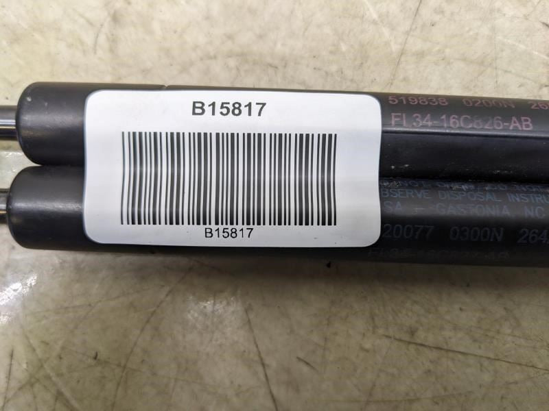 2015-2020 Ford F150 Left & Right Hood Strut Pair FL34-16C826-AB OEM - Alshned Auto Parts