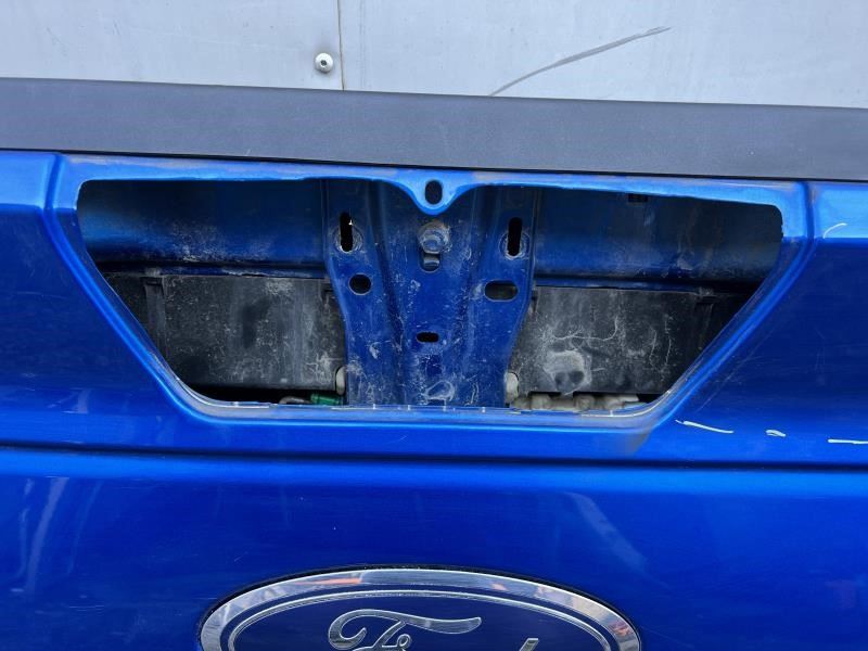 2015-2017 Ford F150 Tailgate Assembly FL3Z-9940700-B OEM *ReaD* - Alshned Auto Parts
