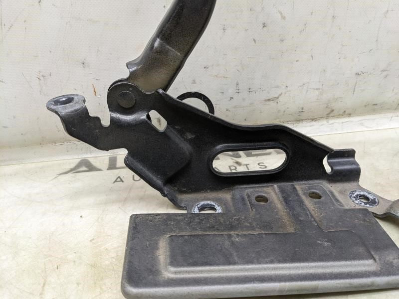 2015-2020 Ford F150 Left & Right Hood Hinge Pair FL34-16800-A OEM - Alshned Auto Parts